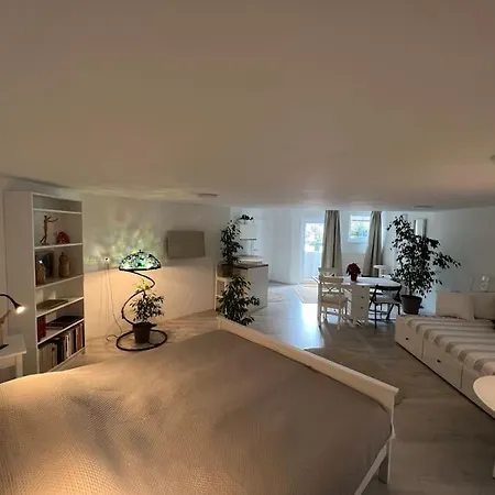 Wholesome Base In Nature