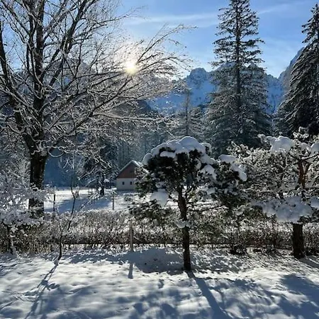 Wholesome Base In Nature شقة غوزد مارتوليك