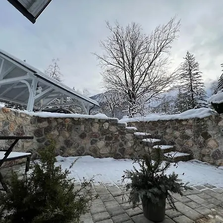 Wholesome Base In Nature غوزد مارتوليك