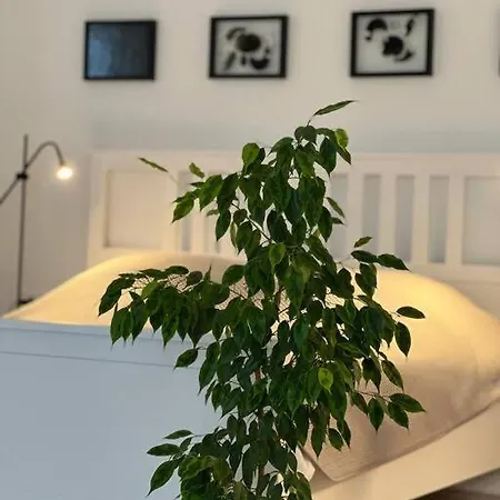 Wholesome Base In Nature Gozd Martuljek