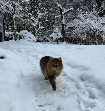 Wholesome Base In Nature *